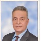 Gamal Ahmad Ali El-Ghamrawi, Finance manager
