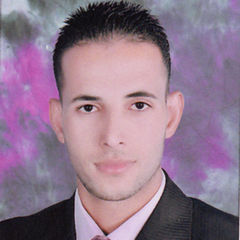 Ramy Mohamed Elsayed Ahmed, محاسب
