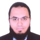 عمرو إسماعيل, Researcher