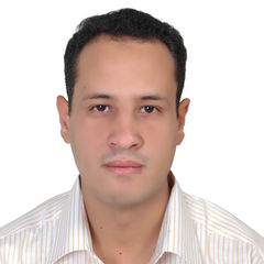 Mohamed Elmasry, Team Leader