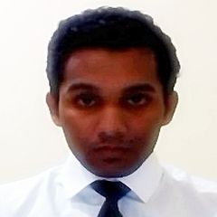 Vinay Jayakumar, Business Analyst