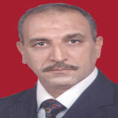 mohamed abd elhakim ali omran hmamia, assistant general manager