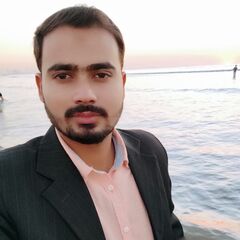 Mohsin Ali Al Hussaini, Dot Net Developer