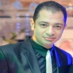 Karim Salah, Sr. IT Engineer