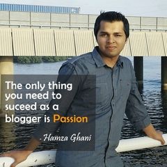 Hamza Ghani, Web designer