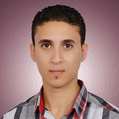 Mahmoud Aref El-sayed Beder, System Engineer