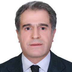 Yaghoub Taghizadeh, Regional Manager