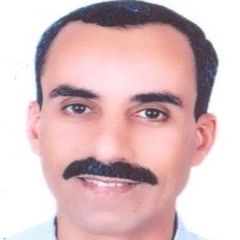 أحمد محمد محمد عبدالكريم عبد الكريم, Site Manager