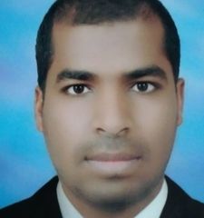 Zakaria Mohamed El Mahdy Sayed Ahmed, GIS Engineer