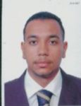 Mahmoud Othman Mohamed  Othman, Supply Chain Techno function Consultant