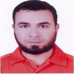 Hany Mousa, Production Manager 