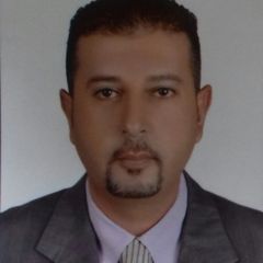 Bassem Morsy, نائب مدير مبيعات