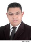 Mohamed Abd El-Fattah, Projects Manager