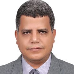 مدحت السيد مراد السيد السيد