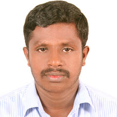 raja vellaisamy