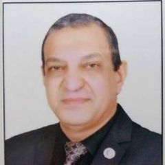 أمير حمدي عبد الجواد علي حمدي, استشاري علاج طبيعي في ٤ مراكز طبية