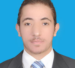 Mohamed Mansour, Civil Engineer