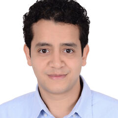 Moustafa Abdelaal, Network Administrator