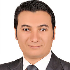 Ahmed Ezzat Elashry Elsaid, Senior System Engineer