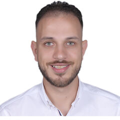 mohamed awad, Sales Executive