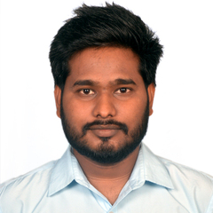 Nitin Sharma, SAP Fico Consultant