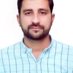 Rizwan Rizi, transport inspector