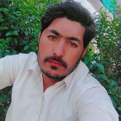 WAQAR  Ahmed 