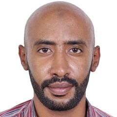 Ala eldin Nagi Abd elmajeed Ahmed, Water Resources Engineer