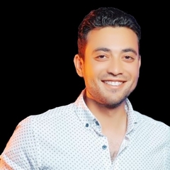 محمود Elnahgy, محاسب عام