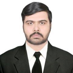 Hamza Khan, Professional Data Entry Operator