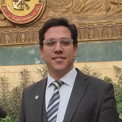 مصطفى Eltamamy, مدير تنفيذي