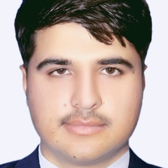 Usama Zameer