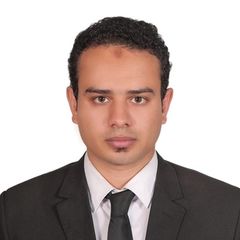 Mohamed  Moussa, CEO Assistant  And Translator 