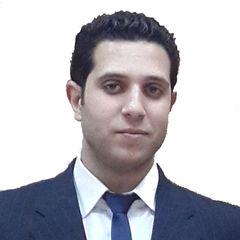 Sayed Hassan Farahat, IT Specialist
