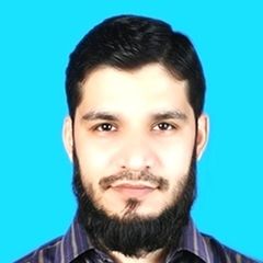 Syed Talha Iqbal, Accountant