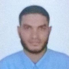 profile-سعيد-محمد-سيبدالليثى-الليثى-10480259