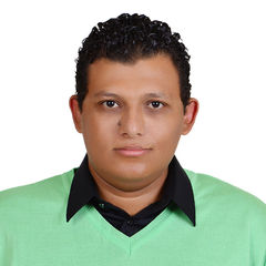 karem youssef ahmed shawky, Senior Document Controller 