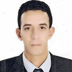 Mahmoud Talaat Ahmed, Quality Assurance Inspector
