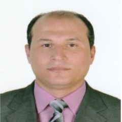 Mahmoud Abo Elsaod, رئيس حسابات
