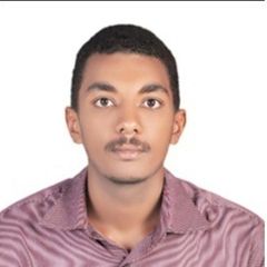 وائل احمد, Mechanical Engineer