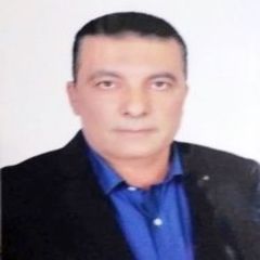hany waly, Site Manager