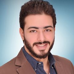 Ahmed El Khouly, international business development manager