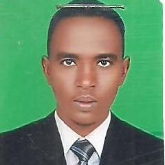 Abdalaziz Mohammed, Service Engineer