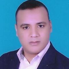 Mohamed Fathi Mohamed, System Administrator