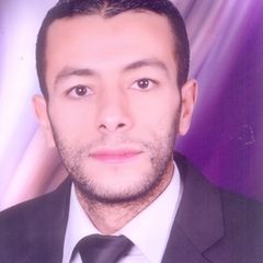 Khaled Mohammed Abdel Aal Aweys Bakay, محامى