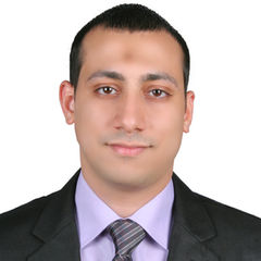 Adel Abdelaziz, Income  Auditor