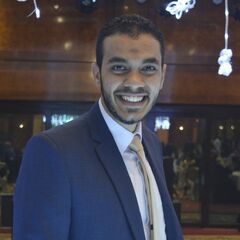 ايهاب احمد عبد الحميد محمد معز