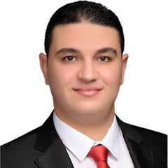 محمد صبرى عبد الرحمن الجعفراوى, Accountant Company Branch