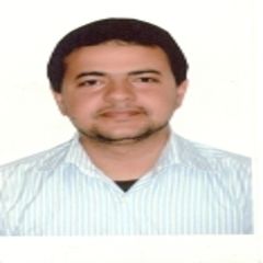 Mohamed sobhi, Technical Sales Representative