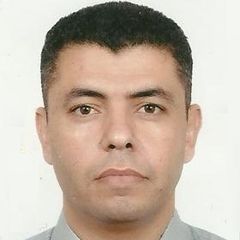 محمد Ennab, Assistant professor